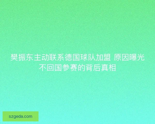 樊振东主动联系德国球队加盟 原因曝光不回国参赛的背后真相 樊振东主动联系德国球队加盟 原因曝光不回国参赛的背后真相