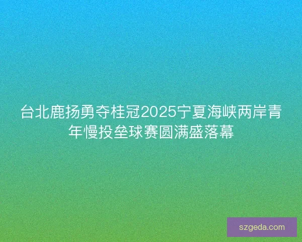 台北鹿扬勇夺桂冠2025宁夏海峡两岸青年慢投垒球赛圆满盛落幕