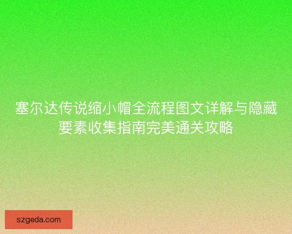 塞尔达传说缩小帽全流程图文详解与隐藏要素收集指南完美通关攻略 塞尔达传说缩小帽全流程图文详解与隐藏要素收集指南完美通关攻略