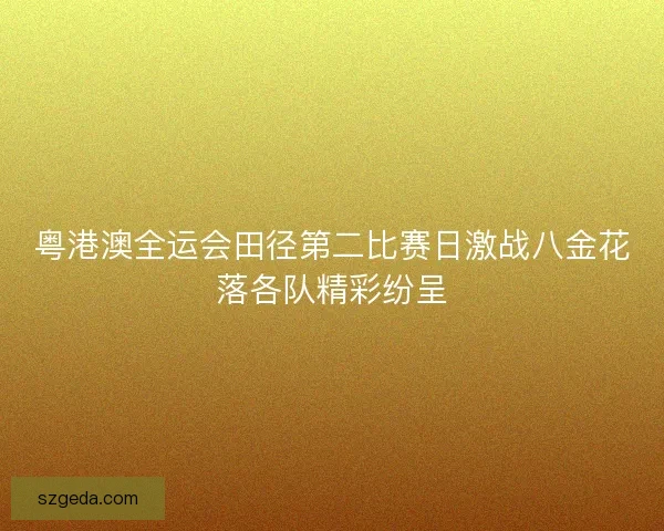 粤港澳全运会田径第二比赛日激战八金花落各队精彩纷呈