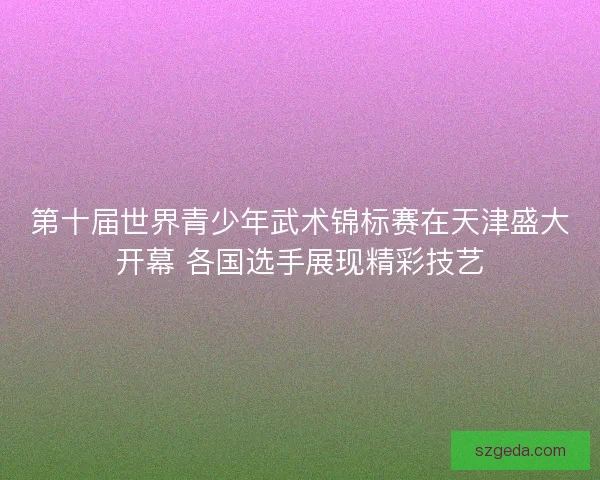 第十届世界青少年武术锦标赛在天津盛大开幕 各国选手展现精彩技艺