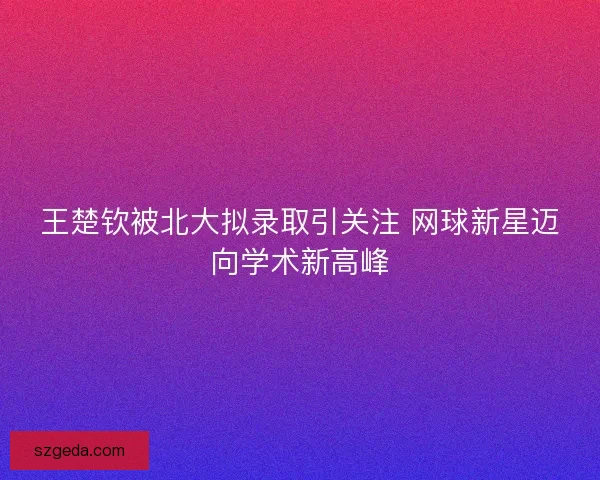 王楚钦被北大拟录取引关注 网球新星迈向学术新高峰